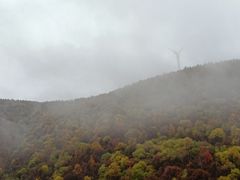 -蔚县茶山村