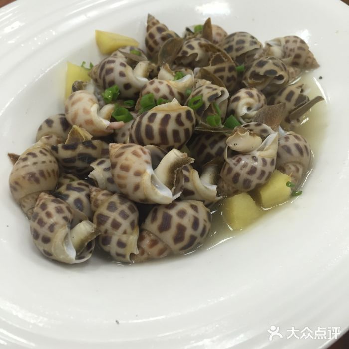 宁波象山小海鲜图片