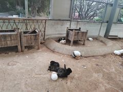 -厦门园林博览苑