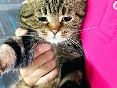 -新新潘晓婷台球俱乐部(周浦店)