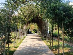 -人民公园(罗湖区)