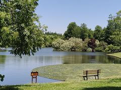 -上海共青森林公园