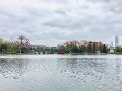 -东山湖公园