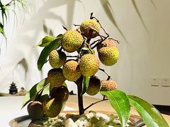 -德迹斋禅意文化茶馆·茶空间·商务洽谈•宴席(桃园店)