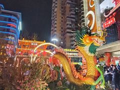 -越秀西湖花市(广州城市广场花卉店)