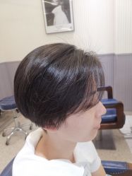 点击看大图 -PE SALON