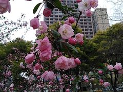 -堤角公园
