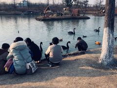 -祥源·阜阳生态乐园