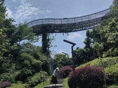 -福道