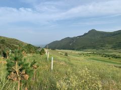 -贡格尔草原