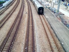 -阿一猪红汤(总店)