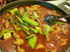 肥肠火锅-湘肠香火锅店(团结湖店)