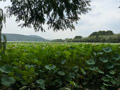 -云龙湖旅游景区