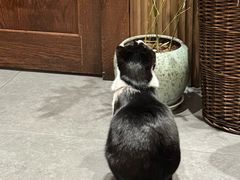 -原田新料理(1912店)