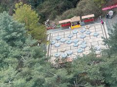 -苍山感通索道