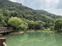 -黄公望隐居地