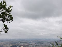 -杭州半山国家森林公园