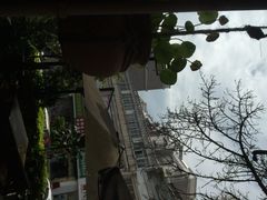 iphone_upload_pic-相约小筑缅泰文化餐厅(临沧·强力广场店)