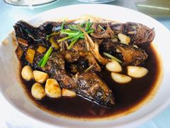红烧昂子鱼-状元楼(金溪路店)