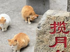 -广州市白云山风景名胜区