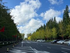 -黄海国家森林公园