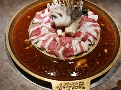 -小牛哈尼章鱼水煎肉(金鹰店)