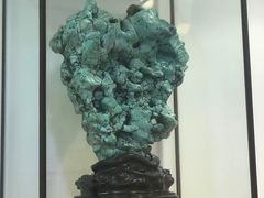 -武汉花鸟市场