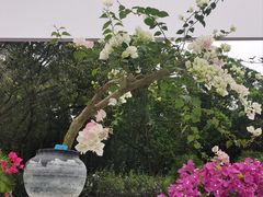 -莲花山公园