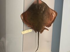 -天津自然博物馆