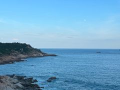 -广东惠东海龟国家级自然保护区