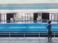 -宁波威斯汀酒店