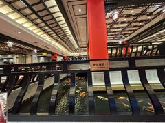 -龙悦湾酒家·八阵鱼生·渔人码头店