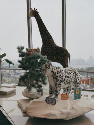 -IMON·HANSA潮玩玩偶毛绒玩具(通州万象汇店)