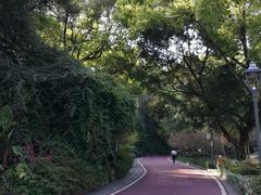 -金鸡山公园