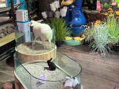 -正佳雨林生态植物园