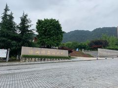 -铁山坪森林公园