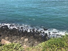 -硇洲岛旅游区