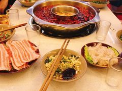 -青年火锅(吾悦广场直营店)