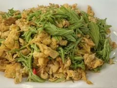 松针炒蛋-农家小院(朱雀桥店)