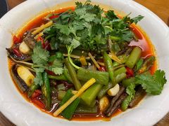 红烧鳝鱼-古蔺郑胖娃(泸州总店)