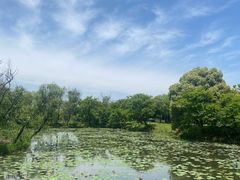 -西溪国家湿地公园