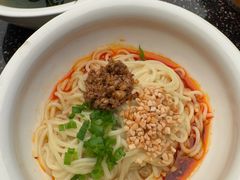 -宽巷子成都火锅(南站店)