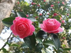 -昆明市金殿名胜区