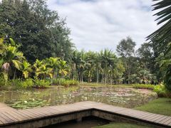 -中国科学院西双版纳热带植物园