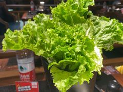-九田家黑牛烤肉料理(宽城万达店)