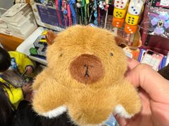 -西西弗书店&矢量咖啡(凯德晶萃广场店)