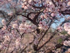 -北运河水利风景区