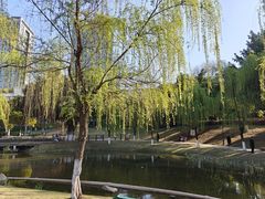 -沐仙湖湿地公园