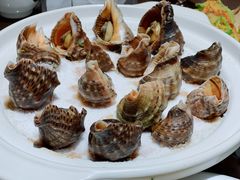 -福来齐·鲁菜海鲜·渔家菜(朝阳街分店)
