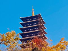 -牛首山文化旅游区